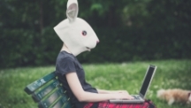 rabbit laptop